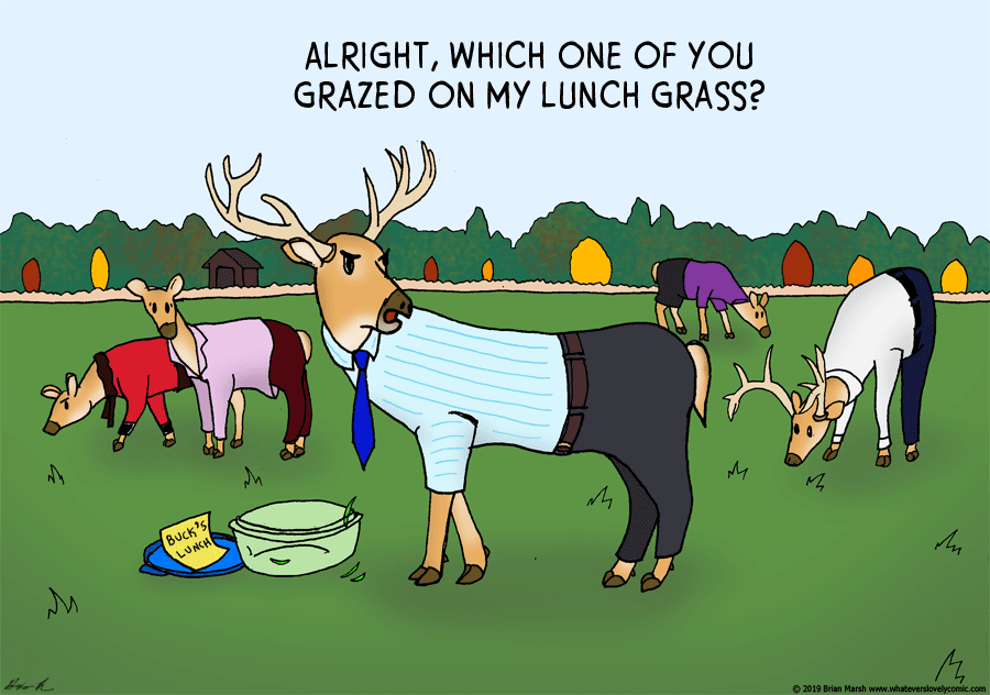 Lunch Grass