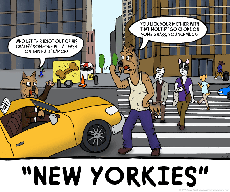 New Yorkies